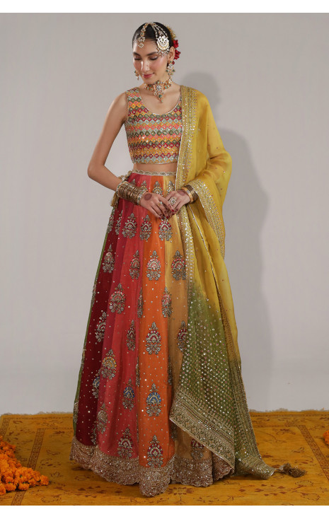 Multicolor Lehenga Choli